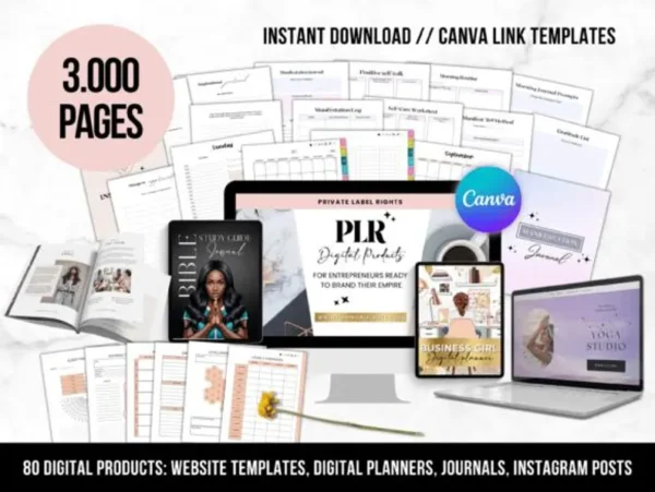 PLR 80 Digital Products Bundle | How to Sell Digital Products eBook + 100 Ideas