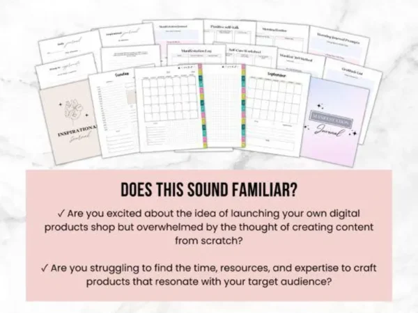 PLR 80 Digital Products Bundle | How to Sell Digital Products eBook + 100 Ideas