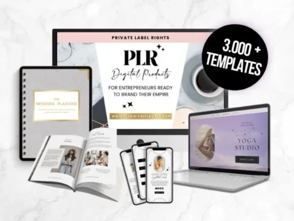 PLR 80 Digital Products Bundle | How to Sell Digital Products eBook + 100 Ideas